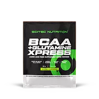 BCAA + Glutamine Xpress (600 gr.) - Scitec Nutrition